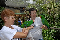 0710 Birdworld Kuranda